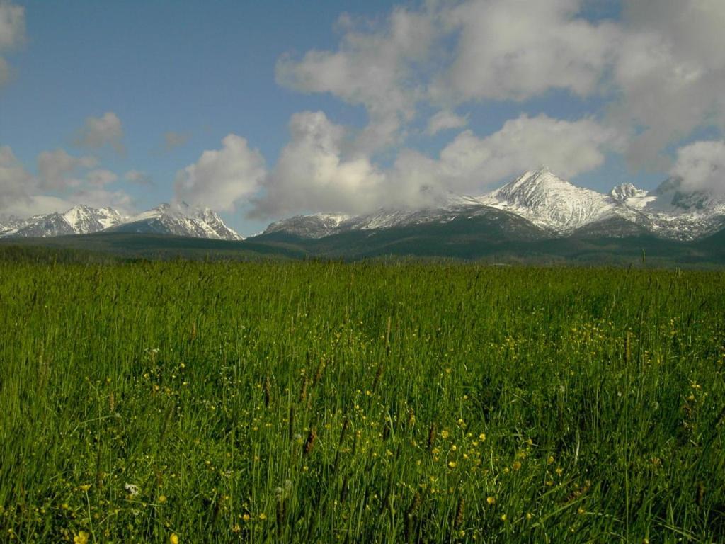 Chalet Tatranec Daire Štôla Dış mekan fotoğraf